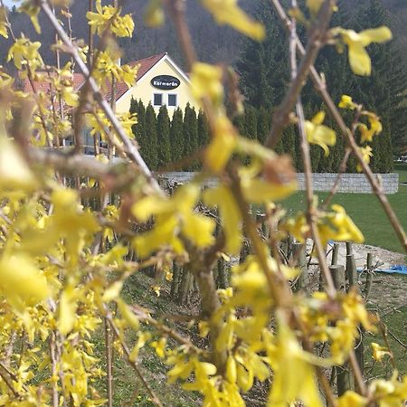 Penzion Kormoran Vranov nad Dyji Bagian luar foto